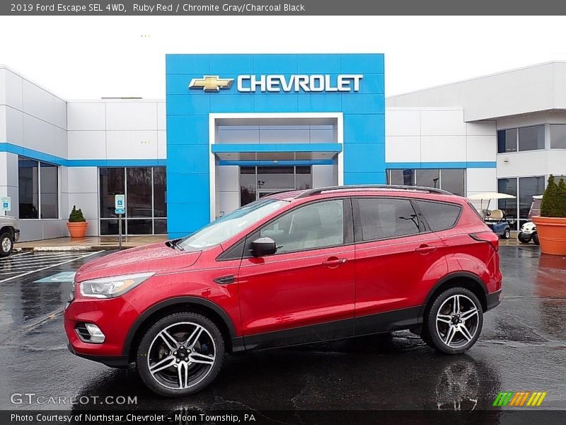 Ruby Red / Chromite Gray/Charcoal Black 2019 Ford Escape SEL 4WD