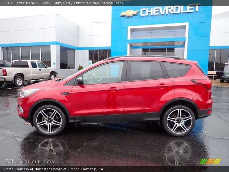Ruby Red / Chromite Gray/Charcoal Black 2019 Ford Escape SEL 4WD
