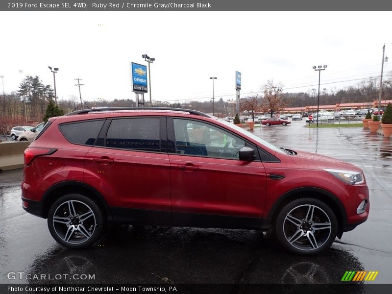 Ruby Red / Chromite Gray/Charcoal Black 2019 Ford Escape SEL 4WD