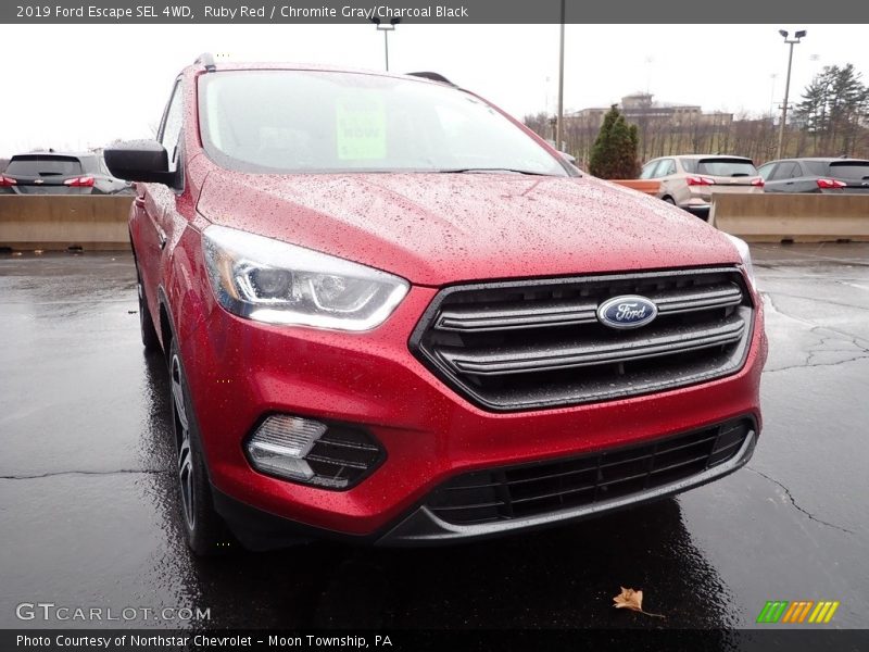 Ruby Red / Chromite Gray/Charcoal Black 2019 Ford Escape SEL 4WD