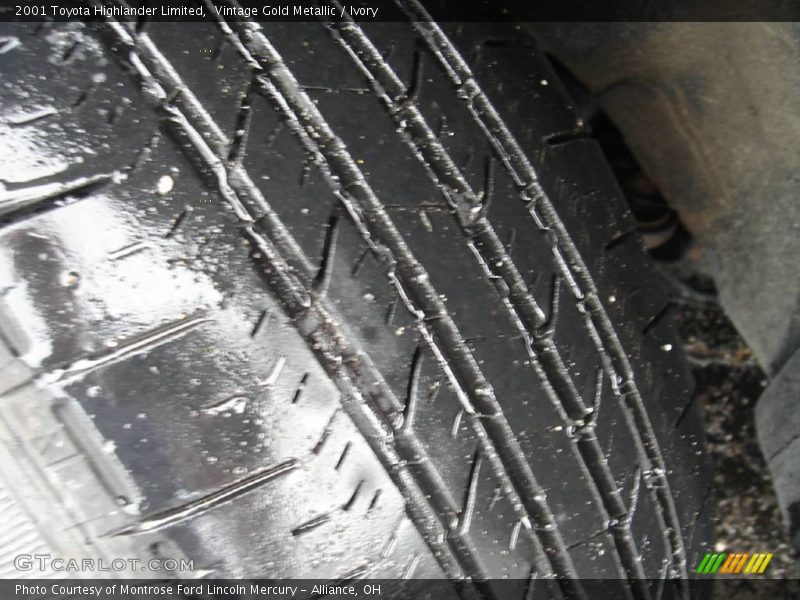 Vintage Gold Metallic / Ivory 2001 Toyota Highlander Limited