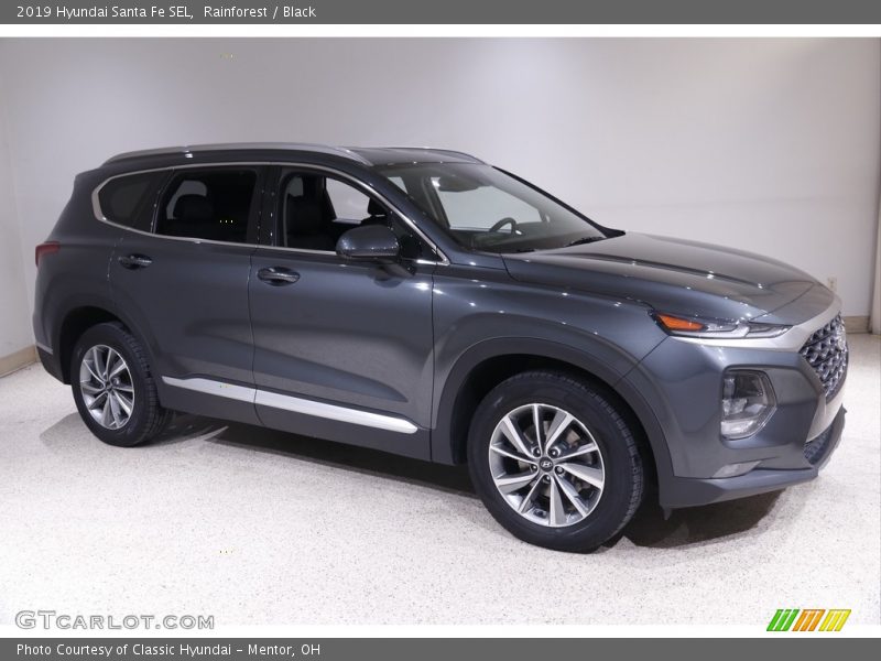 Rainforest / Black 2019 Hyundai Santa Fe SEL