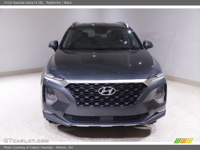 Rainforest / Black 2019 Hyundai Santa Fe SEL