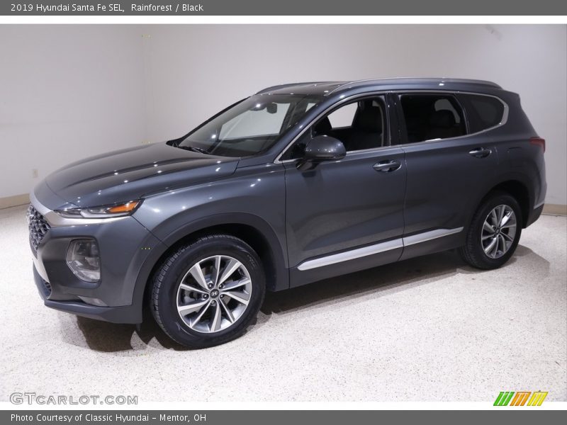 Rainforest / Black 2019 Hyundai Santa Fe SEL
