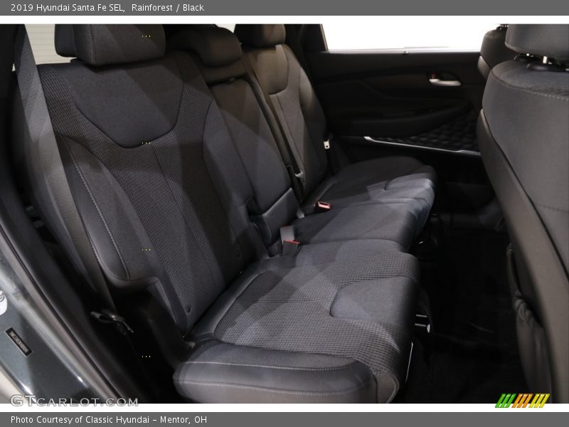 Rainforest / Black 2019 Hyundai Santa Fe SEL