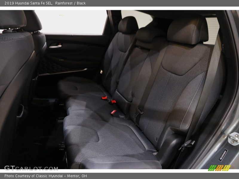 Rainforest / Black 2019 Hyundai Santa Fe SEL