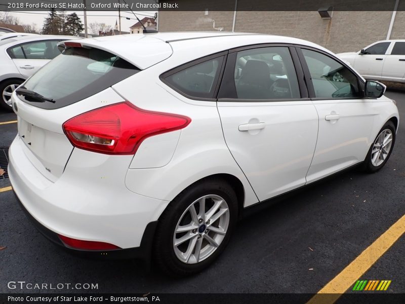 Oxford White / Charcoal Black 2018 Ford Focus SE Hatch