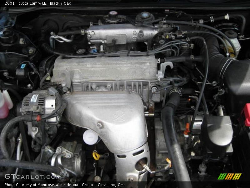 Black / Oak 2001 Toyota Camry LE