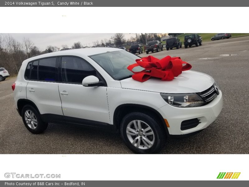 Candy White / Black 2014 Volkswagen Tiguan S