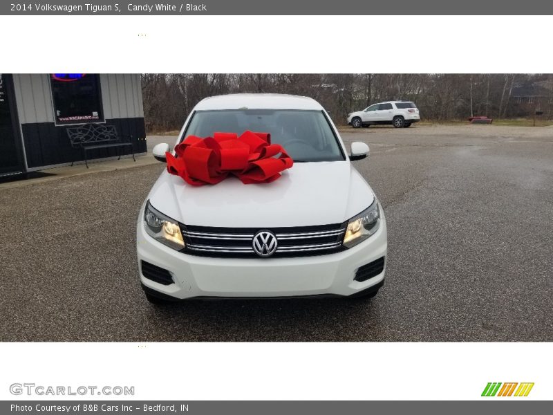 Candy White / Black 2014 Volkswagen Tiguan S