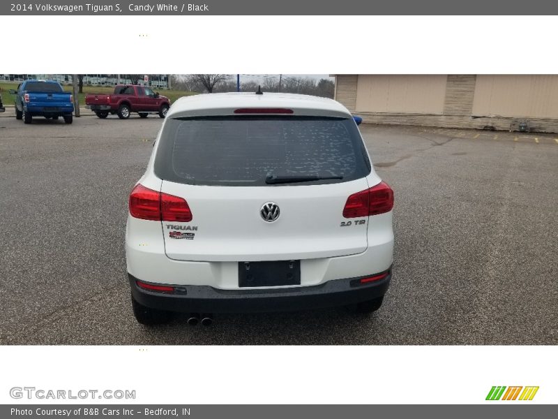 Candy White / Black 2014 Volkswagen Tiguan S