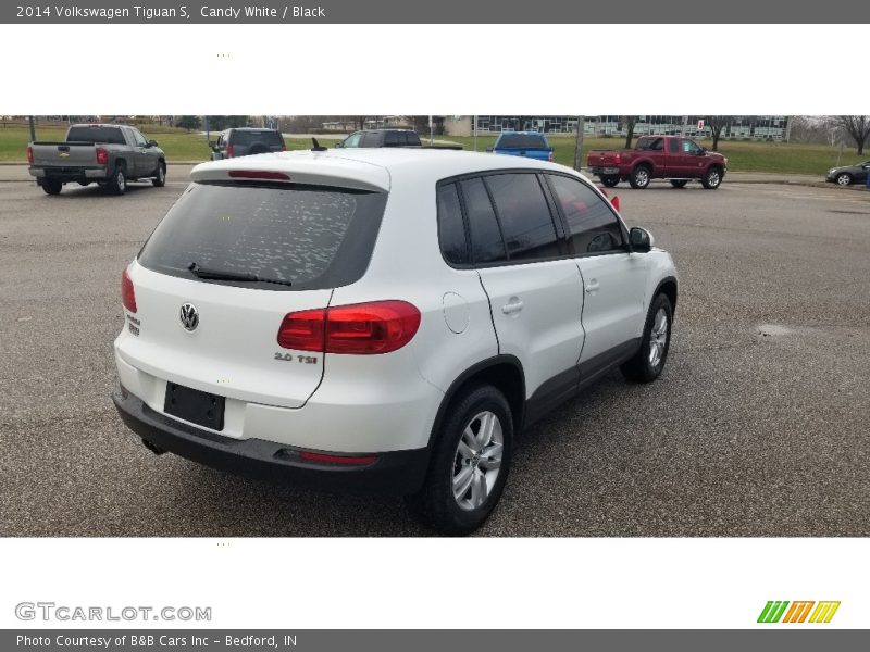 Candy White / Black 2014 Volkswagen Tiguan S