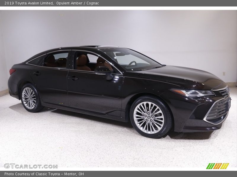 Opulent Amber / Cognac 2019 Toyota Avalon Limited