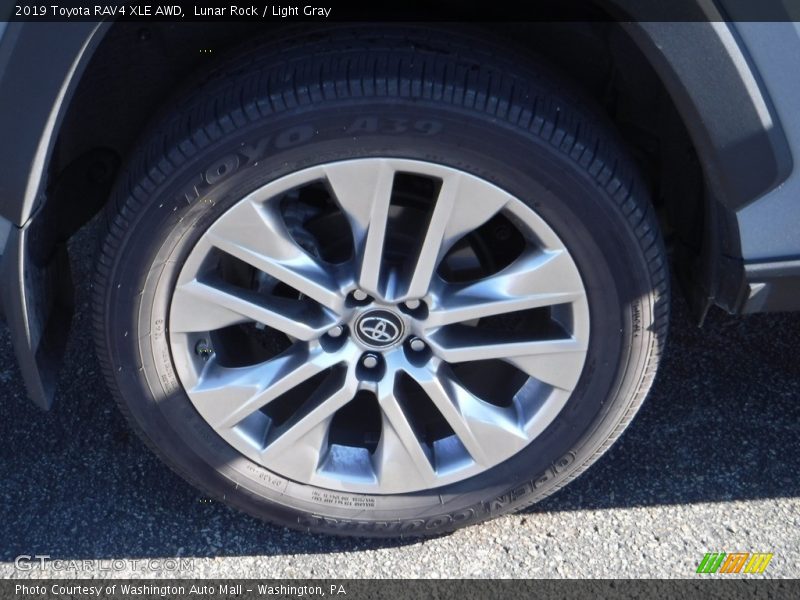 Lunar Rock / Light Gray 2019 Toyota RAV4 XLE AWD
