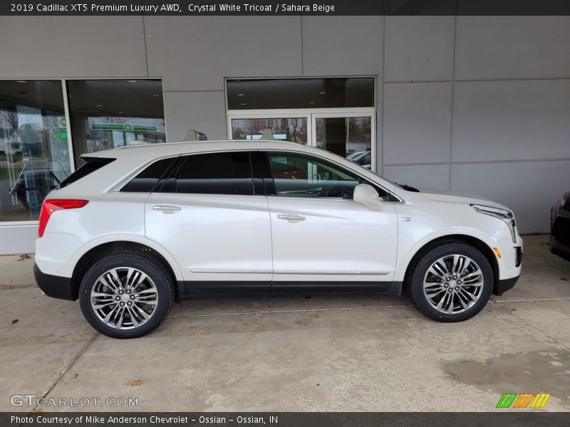 Crystal White Tricoat / Sahara Beige 2019 Cadillac XT5 Premium Luxury AWD