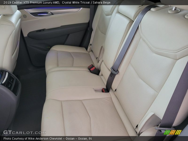 Rear Seat of 2019 XT5 Premium Luxury AWD