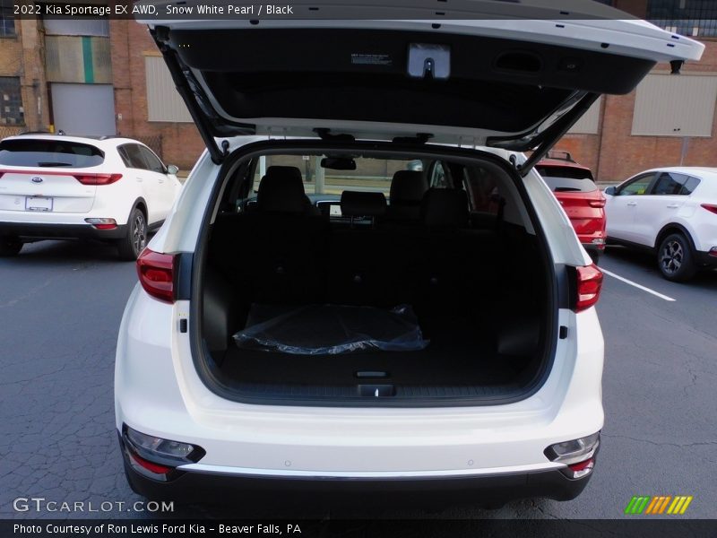 Snow White Pearl / Black 2022 Kia Sportage EX AWD