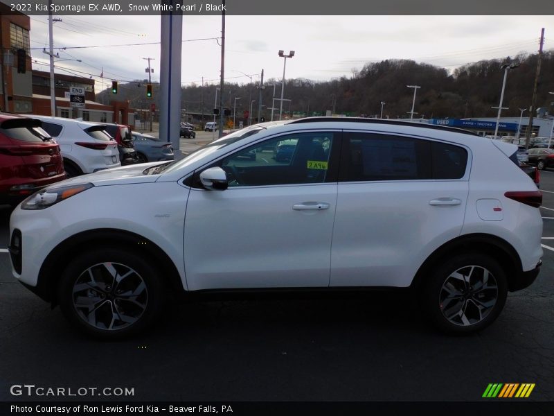 Snow White Pearl / Black 2022 Kia Sportage EX AWD
