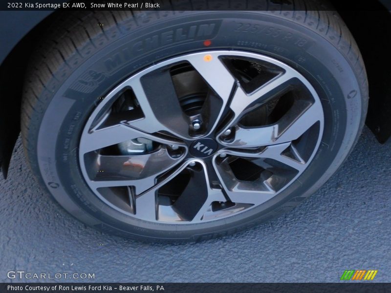 Snow White Pearl / Black 2022 Kia Sportage EX AWD