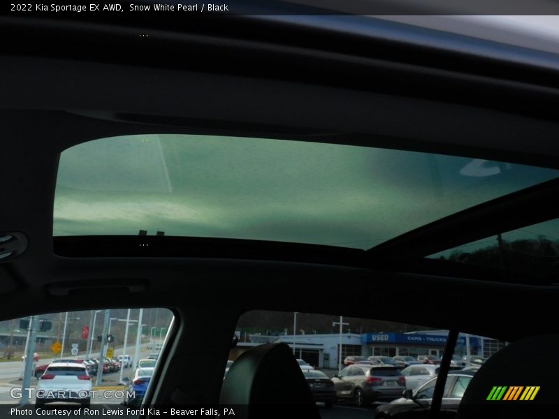 Snow White Pearl / Black 2022 Kia Sportage EX AWD