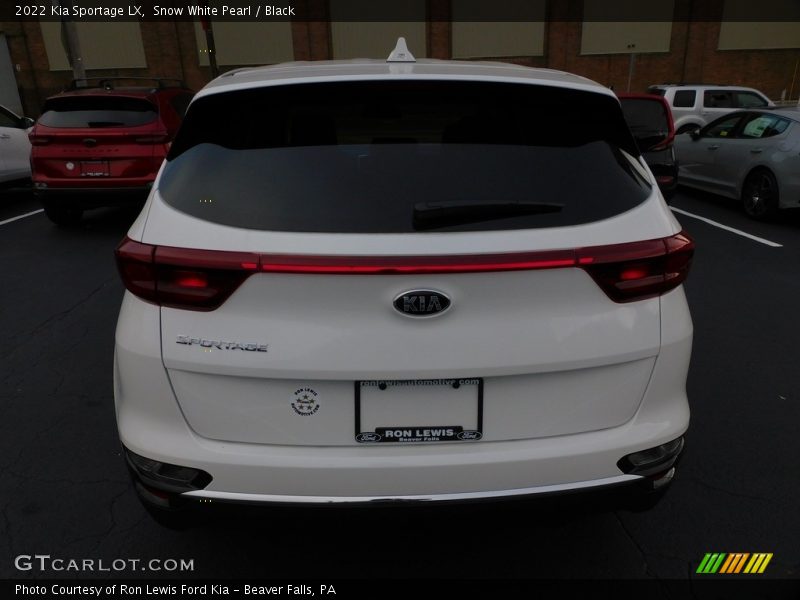 Snow White Pearl / Black 2022 Kia Sportage LX
