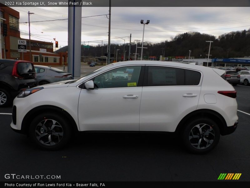 Snow White Pearl / Black 2022 Kia Sportage LX