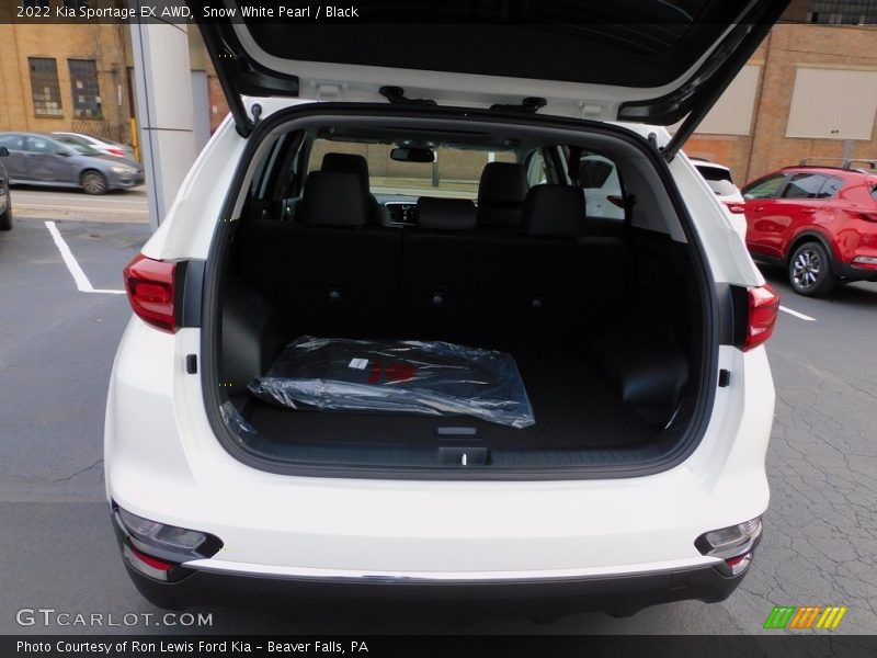 Snow White Pearl / Black 2022 Kia Sportage EX AWD