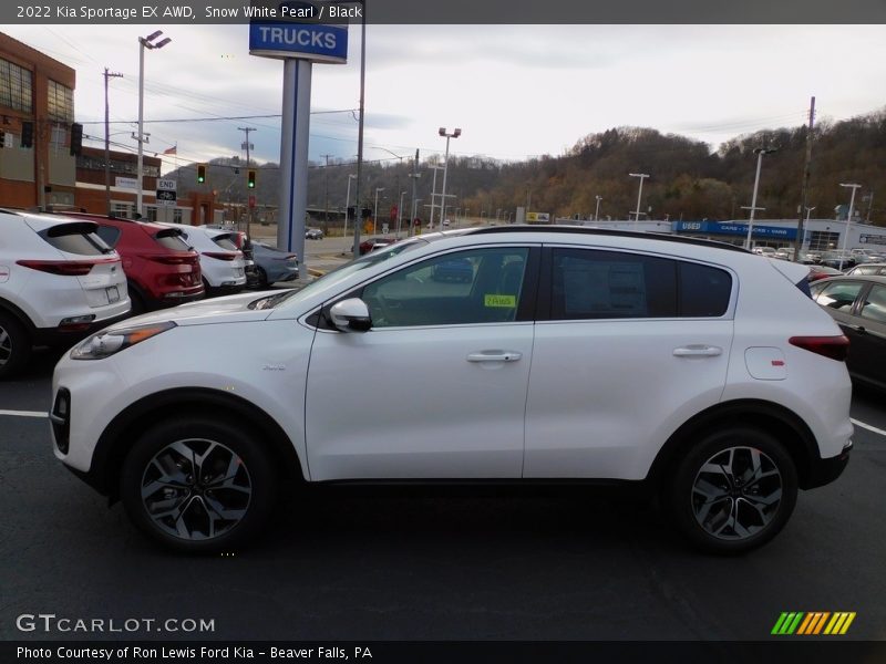 Snow White Pearl / Black 2022 Kia Sportage EX AWD