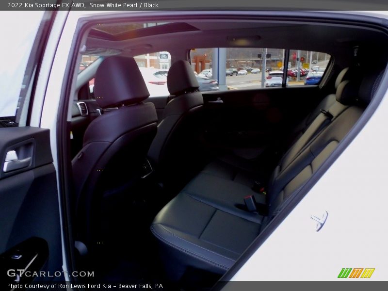 Snow White Pearl / Black 2022 Kia Sportage EX AWD