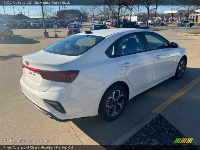 Snow White Pearl / Black 2021 Kia Forte LXS