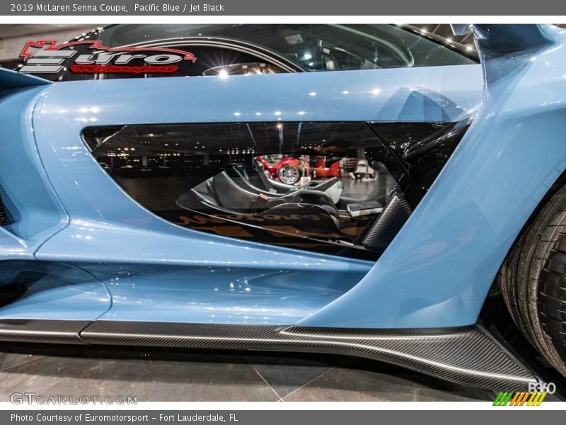 Door Panel of 2019 Senna Coupe
