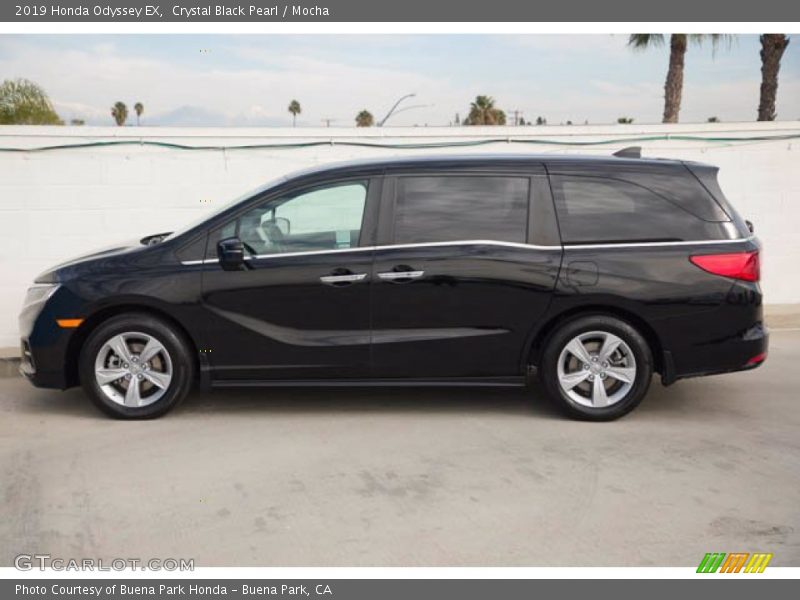 Crystal Black Pearl / Mocha 2019 Honda Odyssey EX