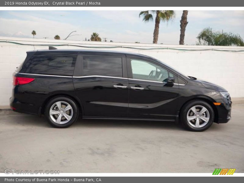 Crystal Black Pearl / Mocha 2019 Honda Odyssey EX