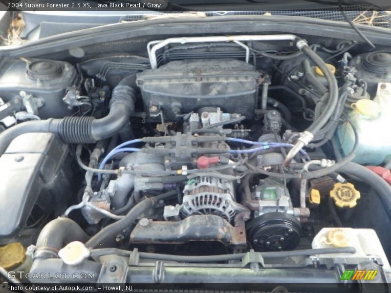 Java Black Pearl / Gray 2004 Subaru Forester 2.5 XS