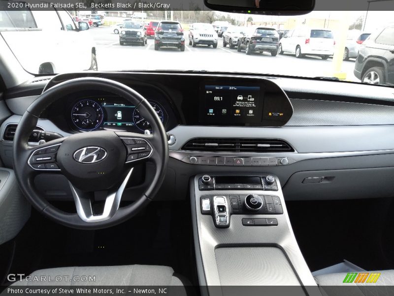 Dashboard of 2020 Palisade SEL