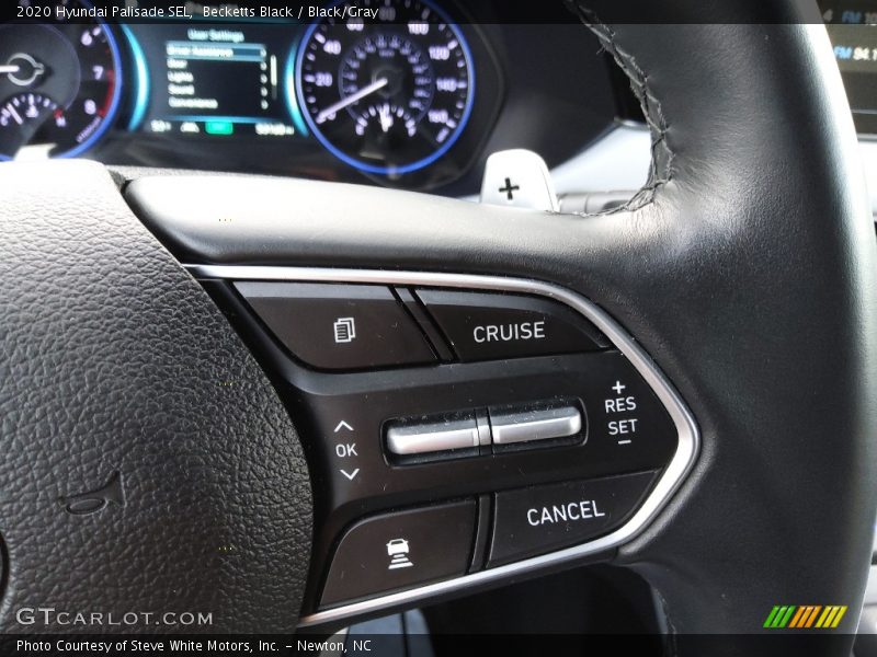  2020 Palisade SEL Steering Wheel