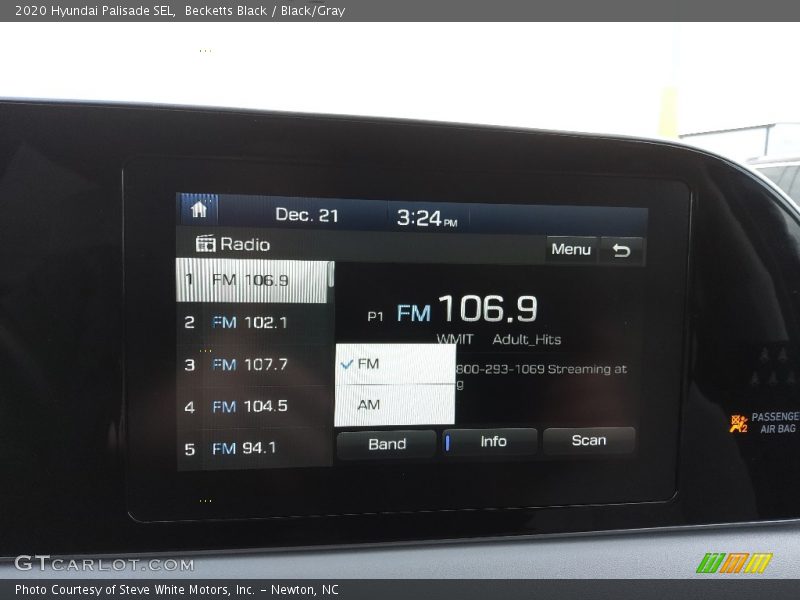 Becketts Black / Black/Gray 2020 Hyundai Palisade SEL