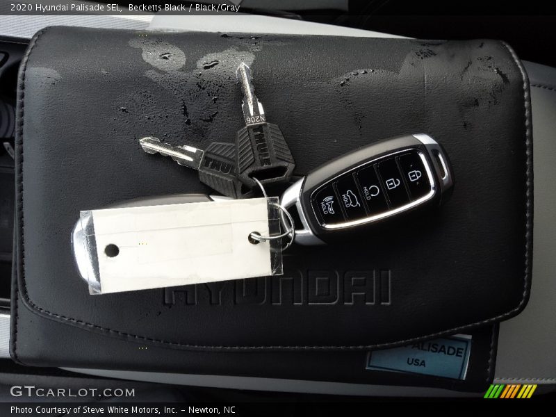 Becketts Black / Black/Gray 2020 Hyundai Palisade SEL