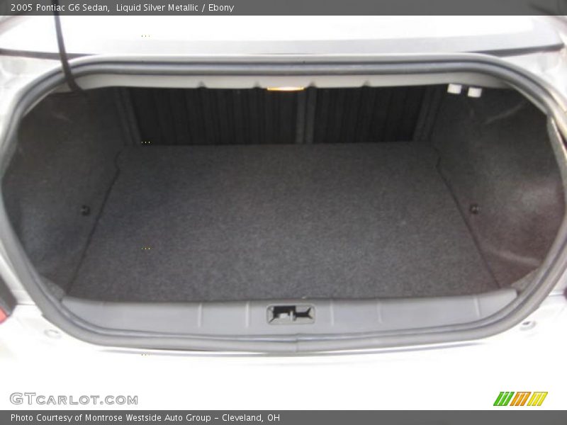 Liquid Silver Metallic / Ebony 2005 Pontiac G6 Sedan