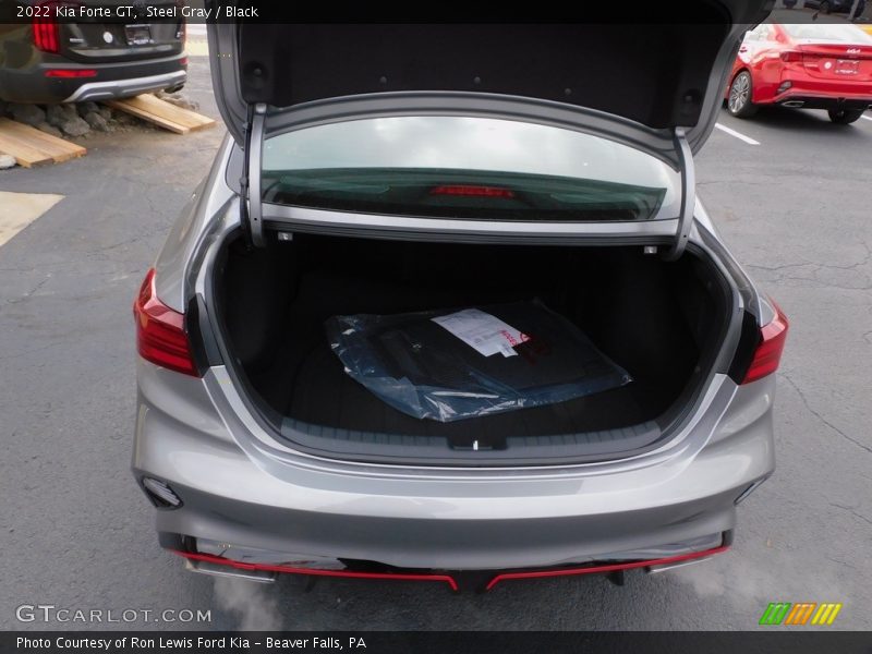 Steel Gray / Black 2022 Kia Forte GT