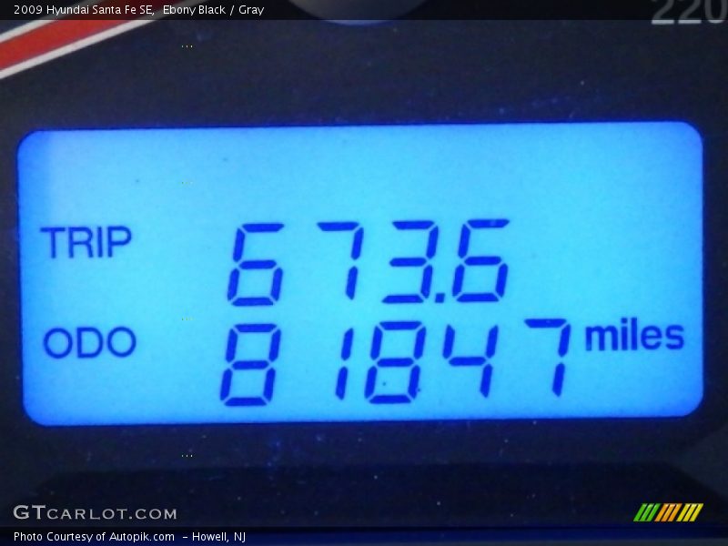 Ebony Black / Gray 2009 Hyundai Santa Fe SE