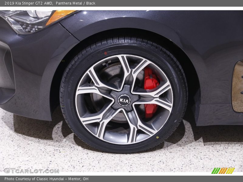 Panthera Metal / Black 2019 Kia Stinger GT2 AWD