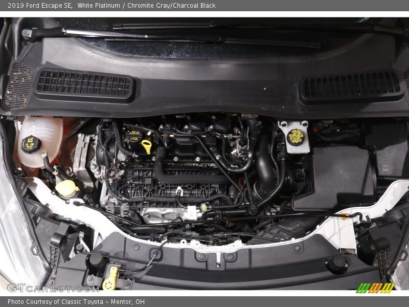 White Platinum / Chromite Gray/Charcoal Black 2019 Ford Escape SE