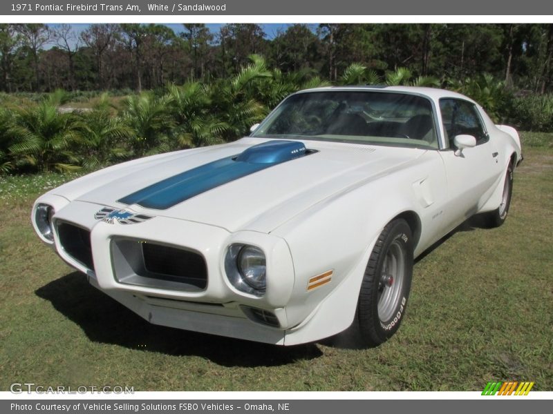  1971 Firebird Trans Am White