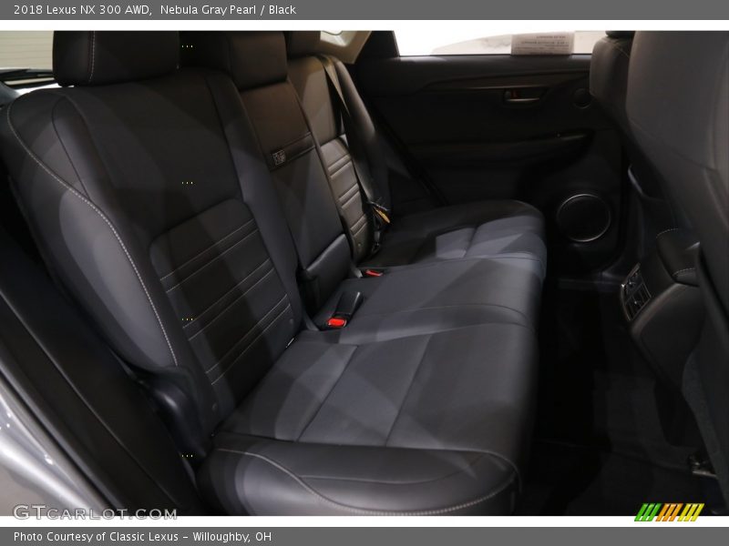 Nebula Gray Pearl / Black 2018 Lexus NX 300 AWD