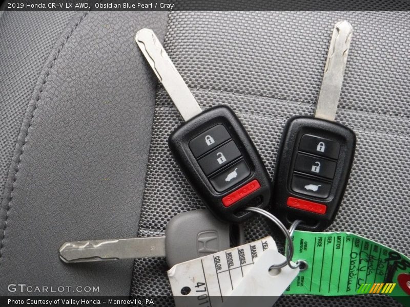 Obsidian Blue Pearl / Gray 2019 Honda CR-V LX AWD