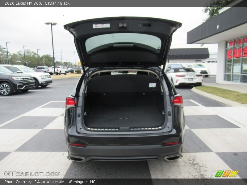 Caviar / Black 2020 Lexus NX 300