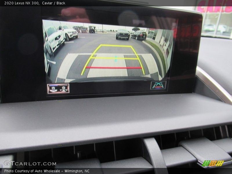 Caviar / Black 2020 Lexus NX 300