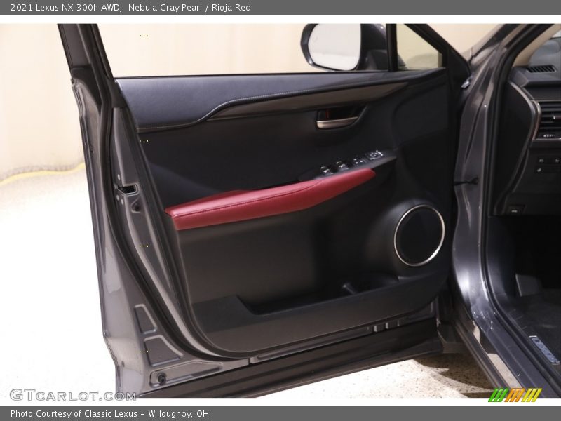 Door Panel of 2021 NX 300h AWD