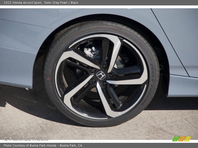 Sonic Gray Pearl / Black 2022 Honda Accord Sport